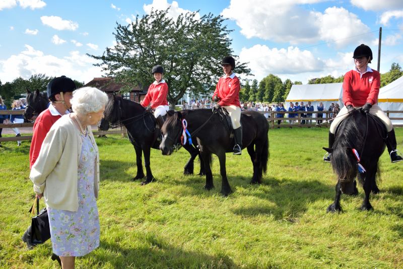 three fell ponies meet HM Queen Elizabeth 