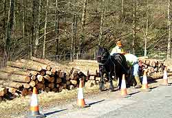 Huey - Horse Logging